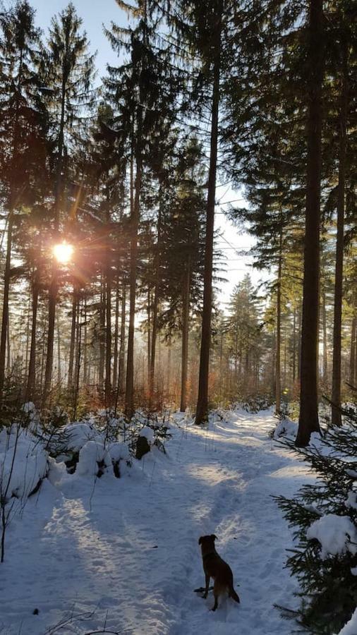 Im Erzgebirge Wandern, Fahrrad Fahren Oder Entspannen Ehrenfriedersdorf ภายนอก รูปภาพ