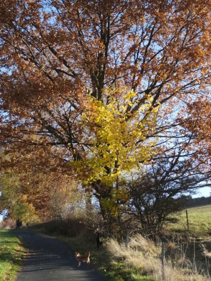 Im Erzgebirge Wandern, Fahrrad Fahren Oder Entspannen Ehrenfriedersdorf ภายนอก รูปภาพ