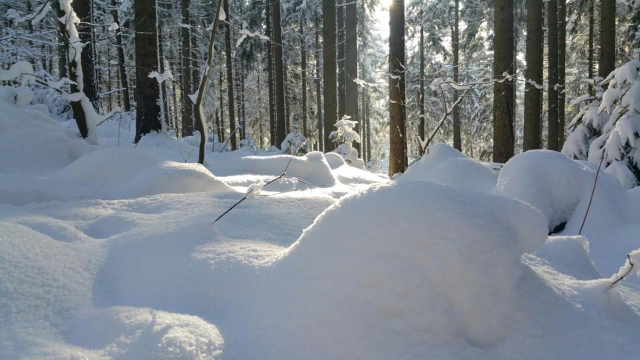 Im Erzgebirge Wandern, Fahrrad Fahren Oder Entspannen Ehrenfriedersdorf ภายนอก รูปภาพ